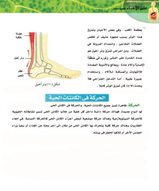 شرح الدرس الاول احياء6 شرح الدرس الاول احياء6